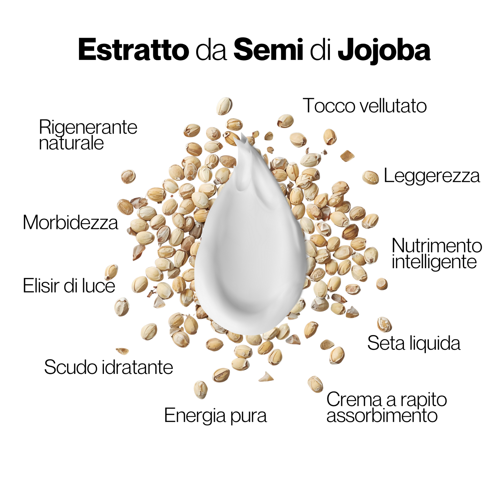 La magia dei semi di Jojoba che